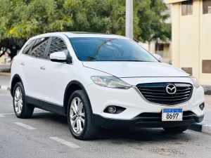 2013 Mazda CX-9