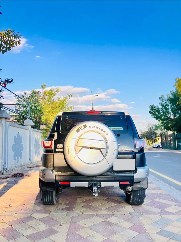 2010 Toyota FJ Cruiser