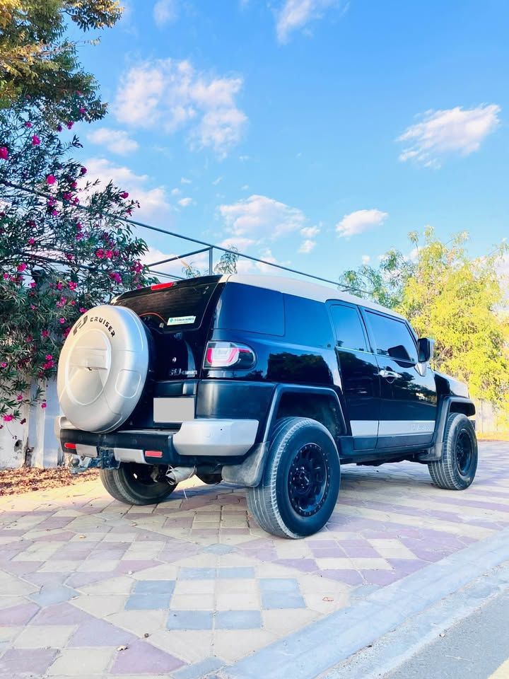 2010 Toyota FJ Cruiser