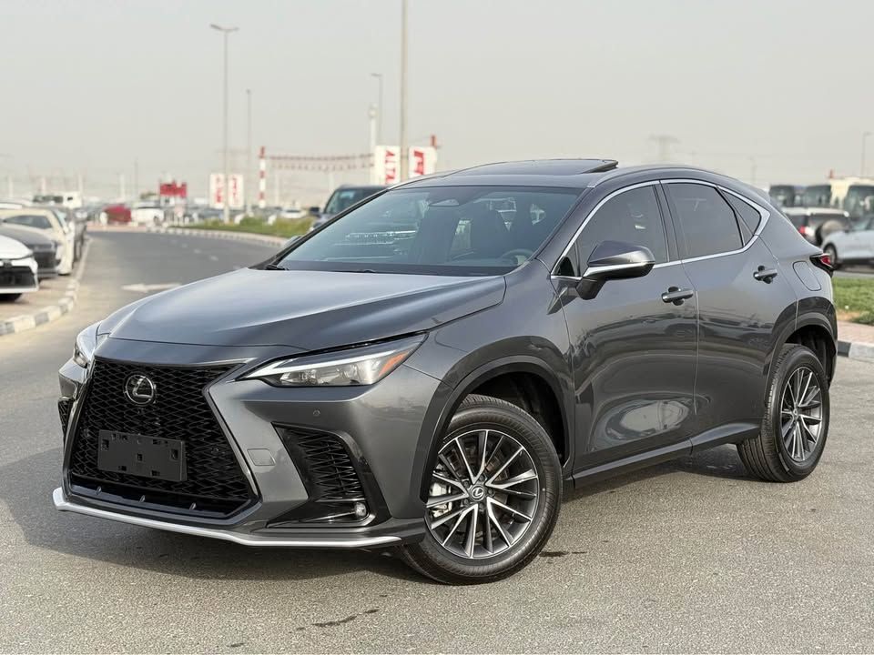 2024 Lexus NX in dubai