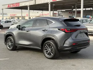 2024 Lexus NX