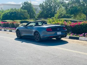 2021 Ford Mustang