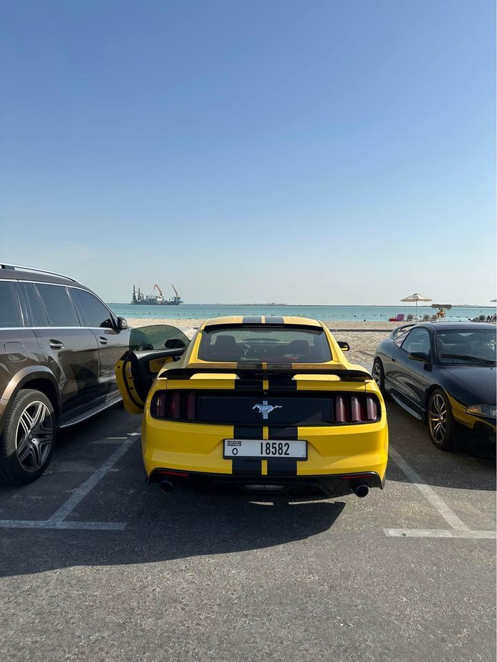 2015 Ford Mustang