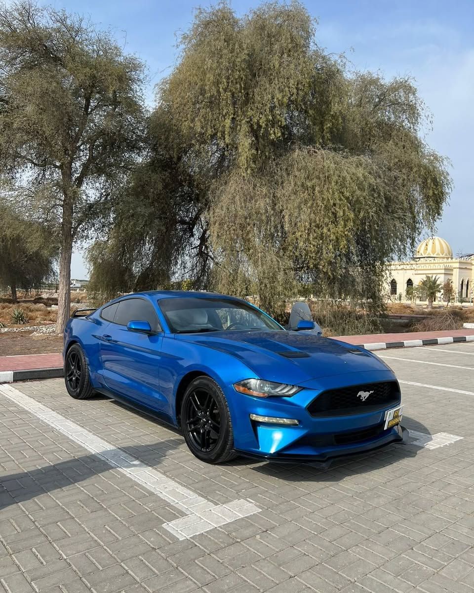 2019 Ford Mustang in dubai