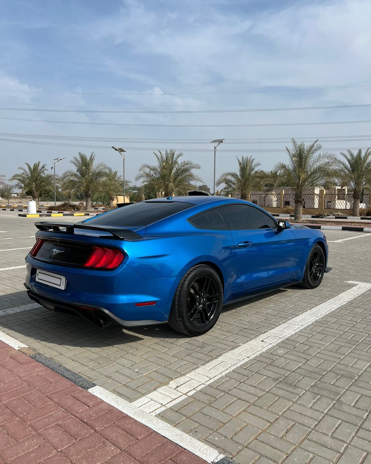 2019 Ford Mustang