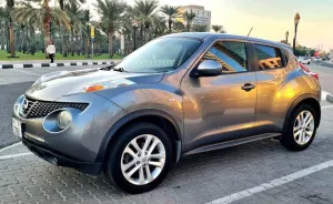 2012 Nissan Juke