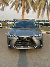 2024 Lexus NX