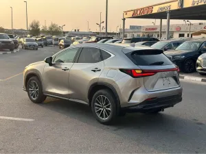 2024 Lexus NX