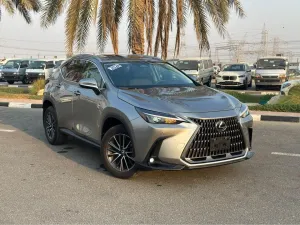 2024 Lexus NX