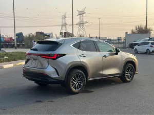 2024 Lexus NX